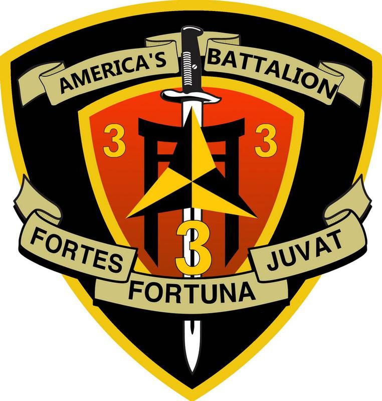 Battalion logo as of February 2017